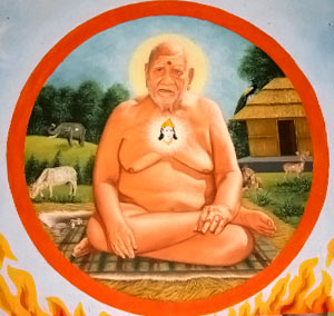 dandi swami shri bhumanand teerth ji maharaj